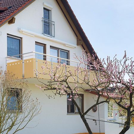 Apartamento Enderle Uhldingen-Mühlhofen Exterior foto
